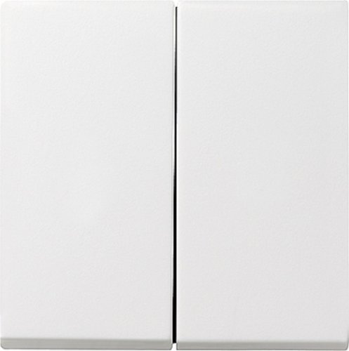 Лицевая панель Gira System55 для 2-кл. выключателя белый матовый фото Лицевая панель Gira System55 для 2-кл. выключателя белый матовый картинка